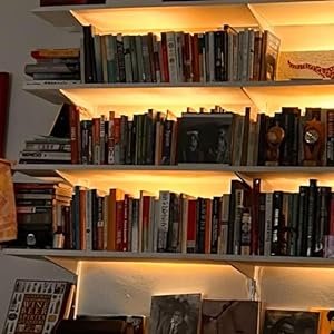 bookshelf lighting