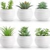 Der Rose Set of 6 Succulents Plants Artificial in Pots Small Fake Plants for Bedroom Aesthetic Living Room Office Shelf Bathroom Decor