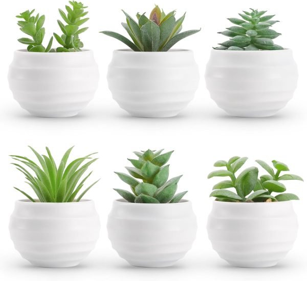 Der Rose Set of 6 Succulents Plants Artificial in Pots Small Fake Plants for Bedroom Aesthetic Living Room Office Shelf Bathroom Decor