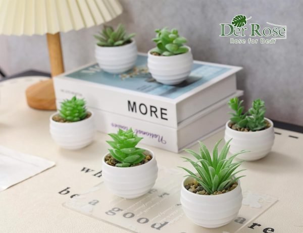 Der Rose Set of 6 Succulents Plants Artificial in Pots Small Fake Plants for Bedroom Aesthetic Living Room Office Shelf Bathroom Decor