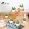 Der Rose Set of 6 Succulents Plants Artificial in Pots Small Fake Plants for Bedroom Aesthetic Living Room Office Shelf Bathroom Decor