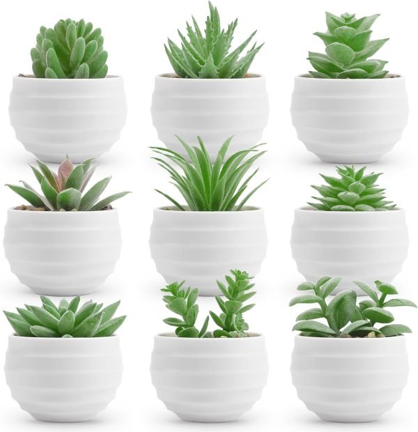 Der Rose Set of 6 Succulents Plants Artificial in Pots Small Fake Plants for Bedroom Aesthetic Living Room Office Shelf Bathroom Decor