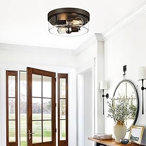 foyer ceiling light