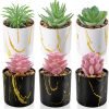 Der Rose Set of 6 Succulents Plants Artificial in Pots Small Fake Plants for Bedroom Aesthetic Living Room Office Shelf Bathroom Decor